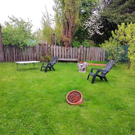 Cabanas Trapagonia Coyhaique Bagian luar foto